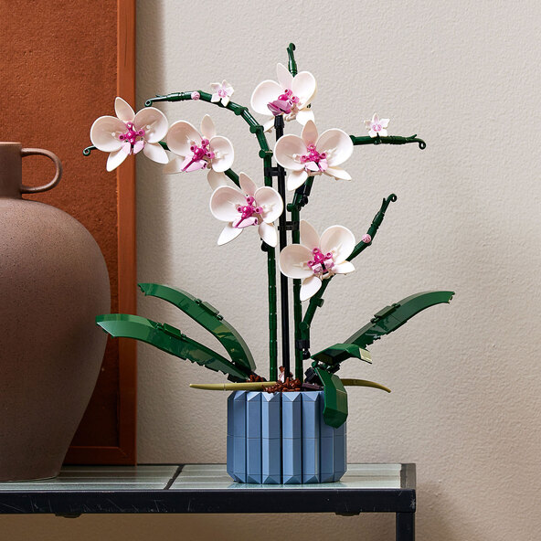 Icons Orchidee 10311