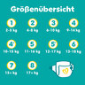 Baby Dry, Gr. 6 Extra Large, Maxi Pack, 2er Set