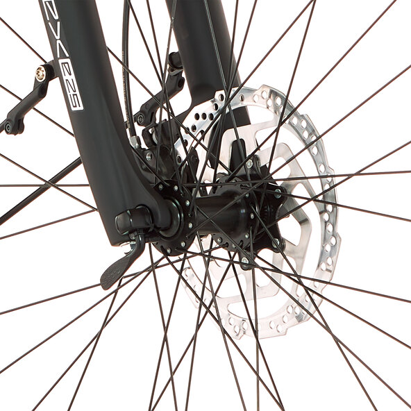 Trekking E-Bike VIATOR 4.2I 522, 55 cm