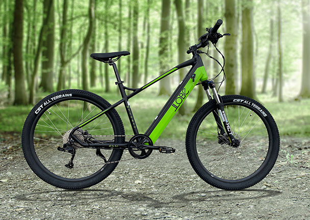 Alu-Elektro-Mountainbike MTLogan Alu-Elektro-Mountainbike MTLogan