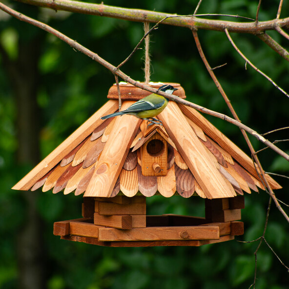 Vogelhaus mit zwei Fenstern zum Aufhängen