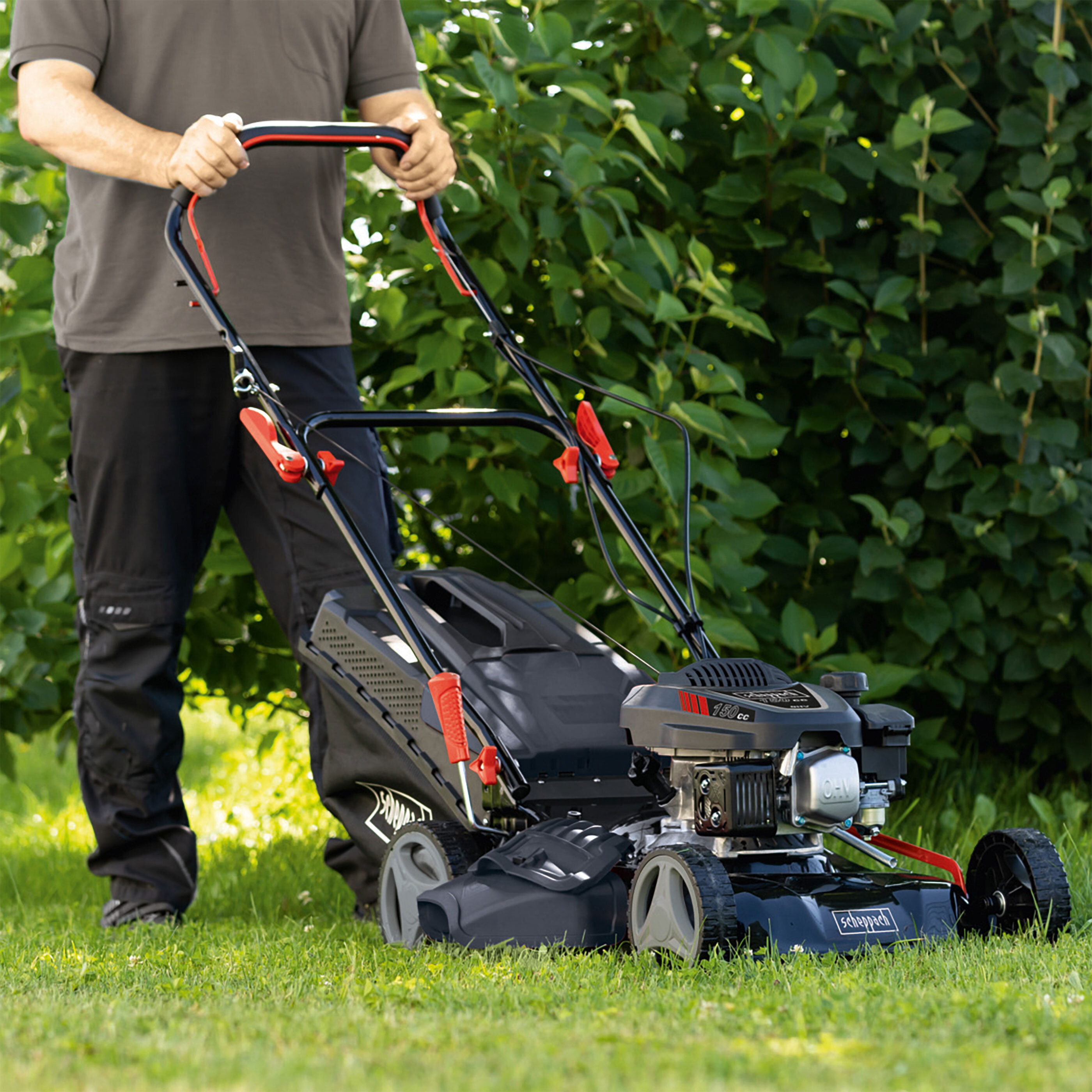 Scheppach BenzinRasenmäher LM14146P ALDI