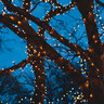 Smart-Home-Lichterkette, warmweiß, 40 LEDs