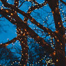 Smart-Home-Lichterkette, warmweiß, 80 LEDs