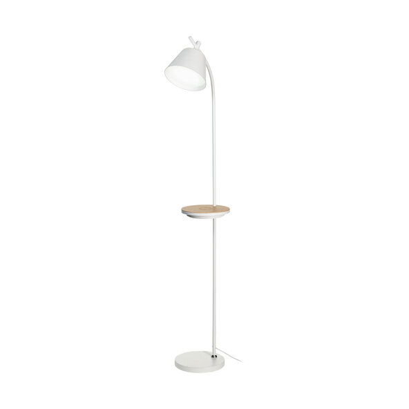 ONLINESHOP | Northpoint ALDI LED-CCT-Stehlampe