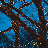 Smart-Home-Lichterkette, warmweiß, 120 LEDs