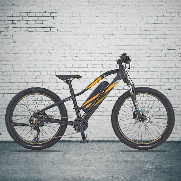 Prophete E-Mountainbike Graveler, 24“ | ALDI ONLINESHOP