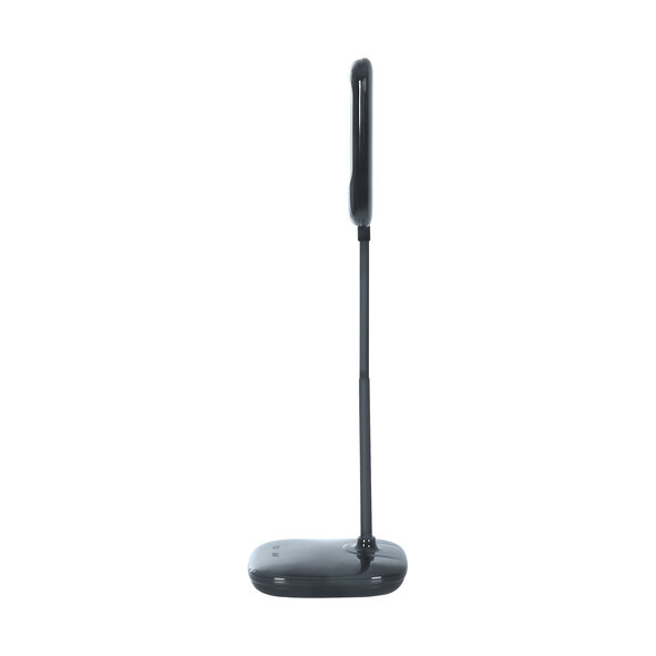 LED-Tageslichtleuchte, 12 W, 1.000 lm, anthrazit