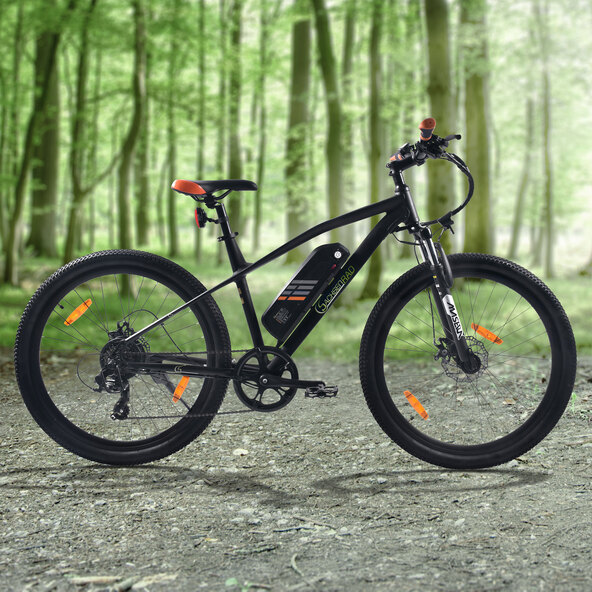 E-Mountainbike R6 Neo 26"