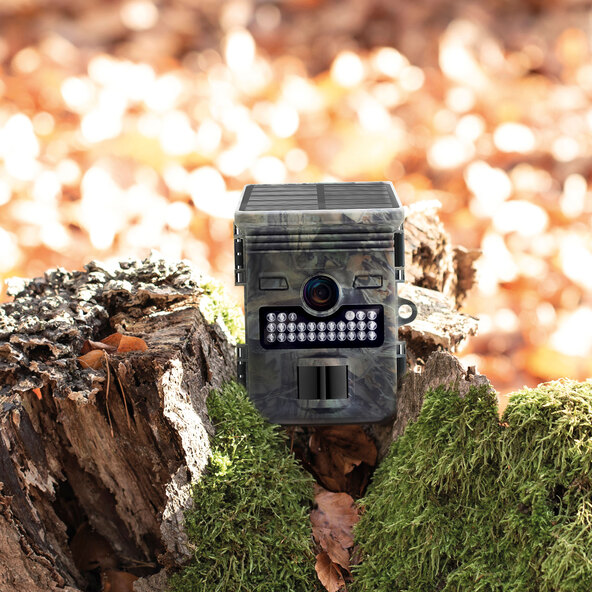 Wildkamera WK-8HD SP, mit Solarpanel