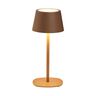 3 in 1 LED-Akku-Tischleuchte, braun-metallic