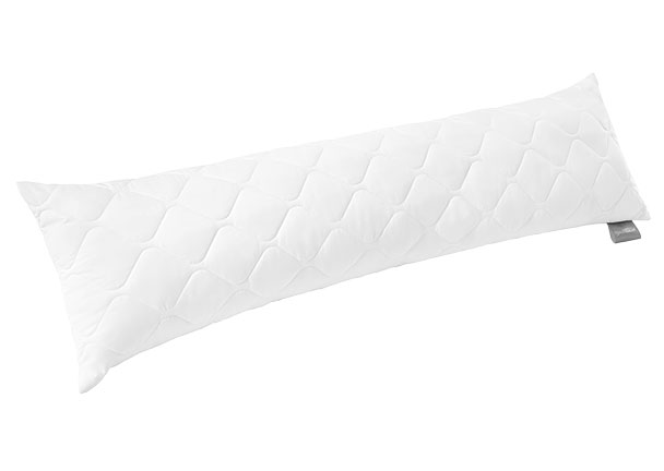productNameHtml