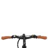 28" Fixie E-Bike Vincitori
