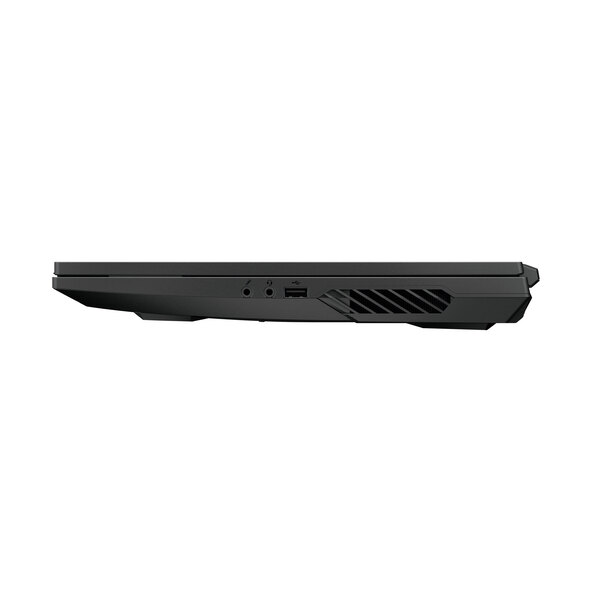 Core-Gaming-Notebook Defender P15 (MD64035)