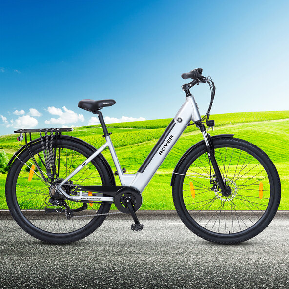 Trekking E-Bike TLR 709