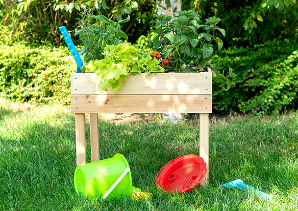 Kinder-Hochbeet Kinder-Hochbeet