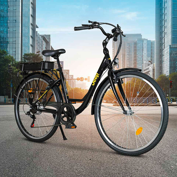 City-E-Bike ECR 3000