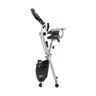 Heimtrainer X-Bike