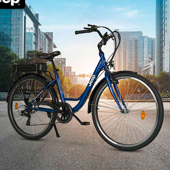 City-E-Bike ECR 3005
