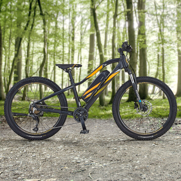 E-Mountainbike Graveler, 24 Zoll