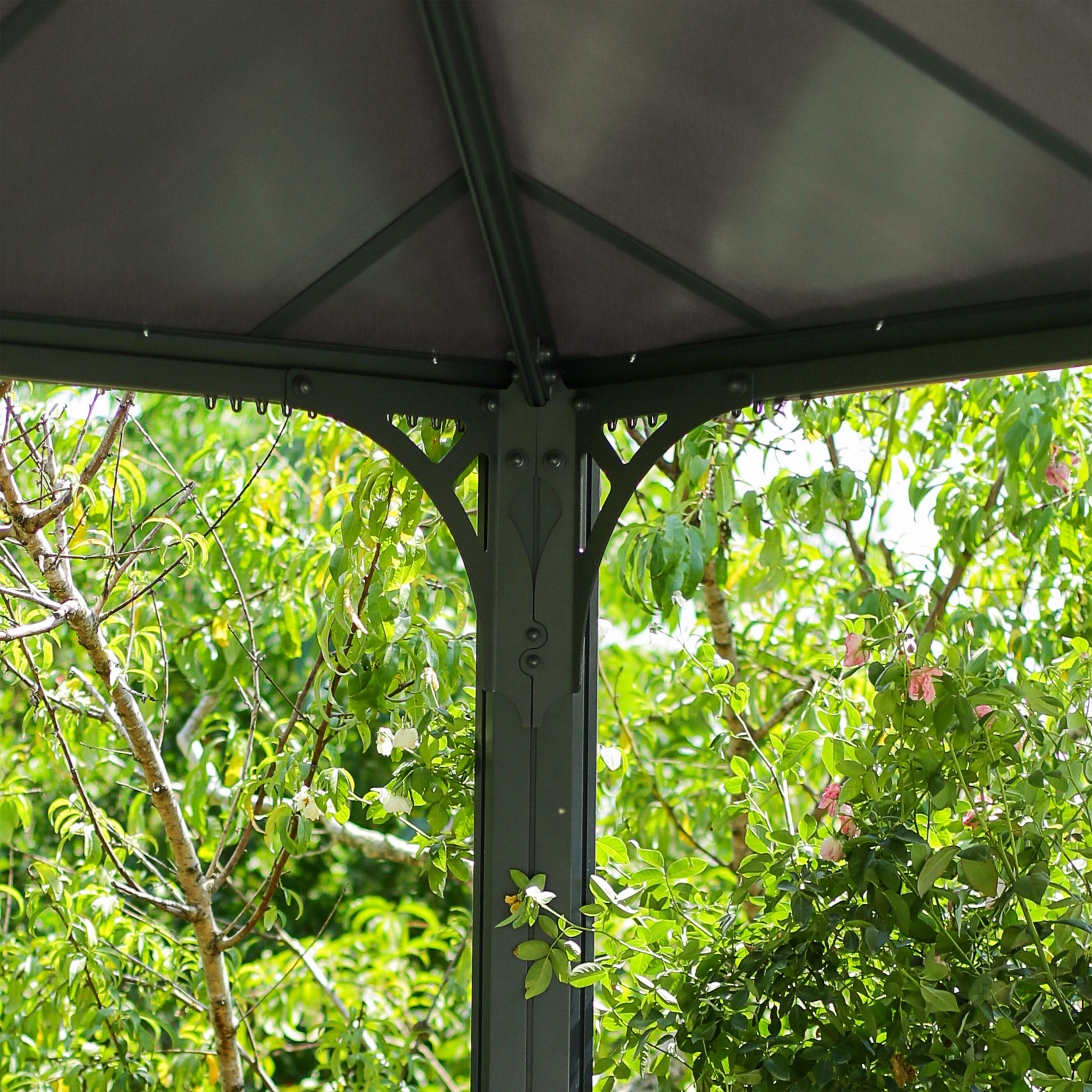 Canopia Pavillon Palermo ALDI