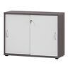 Serie 4000 Aktenschrank 4700, esche grau/weiß matt
