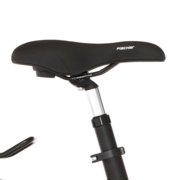 Trekking E-Bike VIATOR 4.2I 522, 45 cm