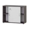Serie 4000 Aktenschrank 4700, esche grau/weiß matt