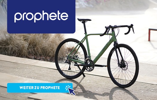 Prophete E-Bike steht am Rand einer Straße