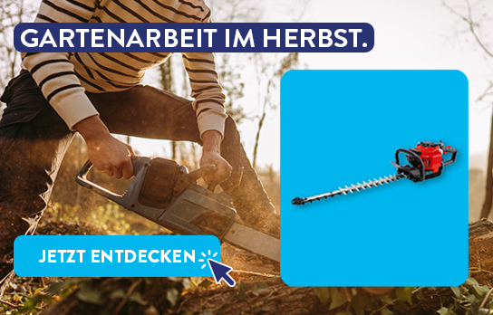 50_50_Header_ALDI_Onlineshop_TA_KW37_Gartenarbeit_544x348px_xs.jpg