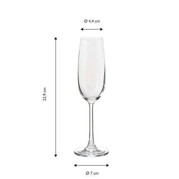 Sekt-/Champagnerkelche Daily, 210 ml, 6er Set