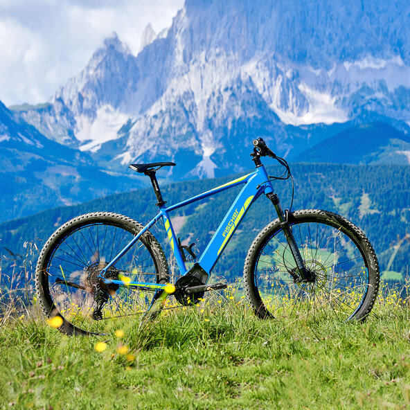 E-Bike Montis 6.0i 46 cm mit Mittelmotor 36 V / 504 Wh