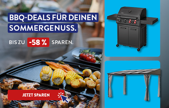 HEADER_Stage_ALDI_Onlineshop_TW_KW25_BBQ_Deals_544x348px_xs.jpg