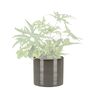 Keramik-Blumentopf 3er Set Ø 16 cm, Glass Grey