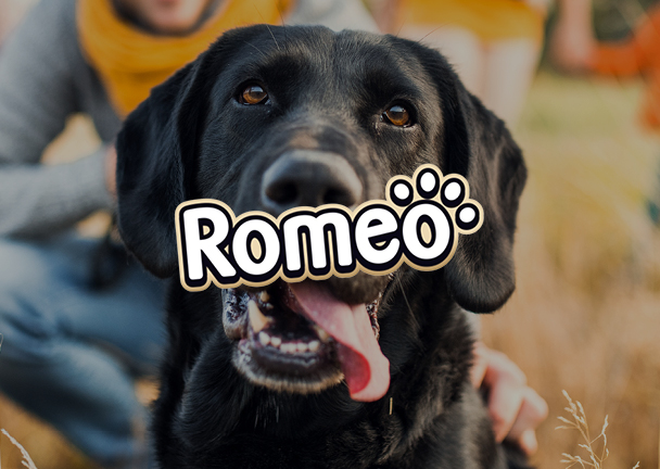 Eigenmarken_Teaser_Logo_Romeo_608x432px6.jpg