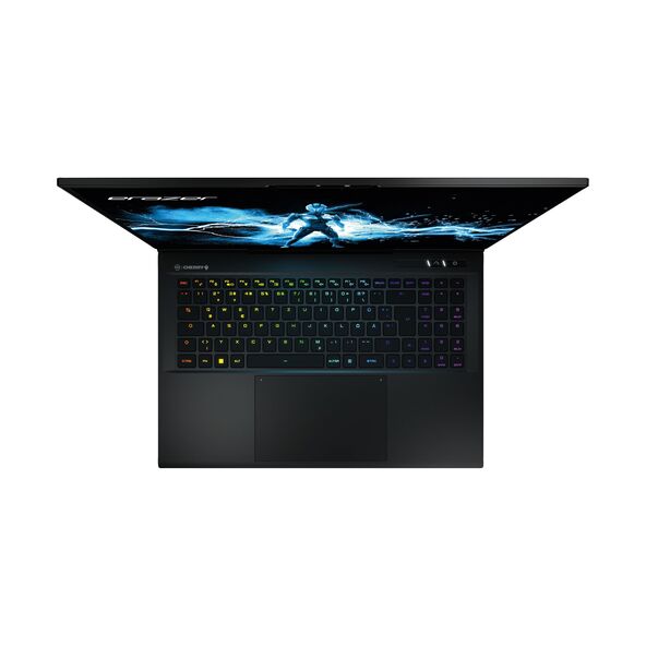 17" High-End-Gaming Notebook Beast X40 (MD62507)