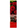 Drei rote Edelrosen der Sorte 'Dame de Coeur' in voller Blüte und geschlossenem Zustand, mit grünen Blättern vor neutralem Hintergrund.
