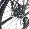 Trekking E-Bike Entdecker 1.3 Premium, Damen
