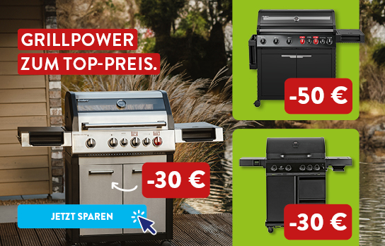 HEADER_Stage_ALDI_Onlineshop_TW_KW20_Grill_Deals_544x348px_xs.jpg