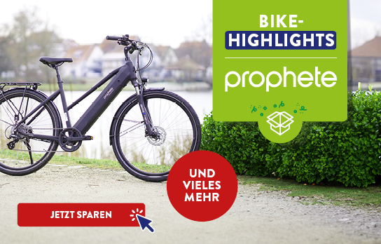 50_50_Kacheln_ALDI_WEEK_WKZ_Prophete_KW19_544x348px_xs.jpg