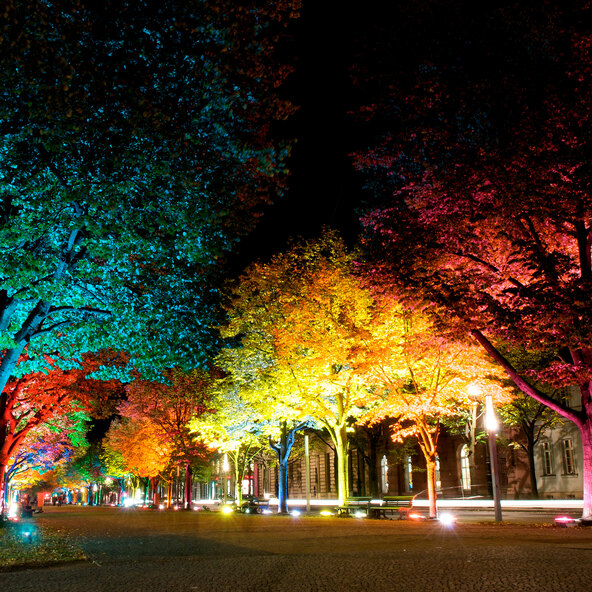 Smarter LED-Outdoor-Gartenspot Flores XL