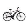 Trekking E-Bike VIATOR 1.0 418, Rahmenhöhe 50 cm