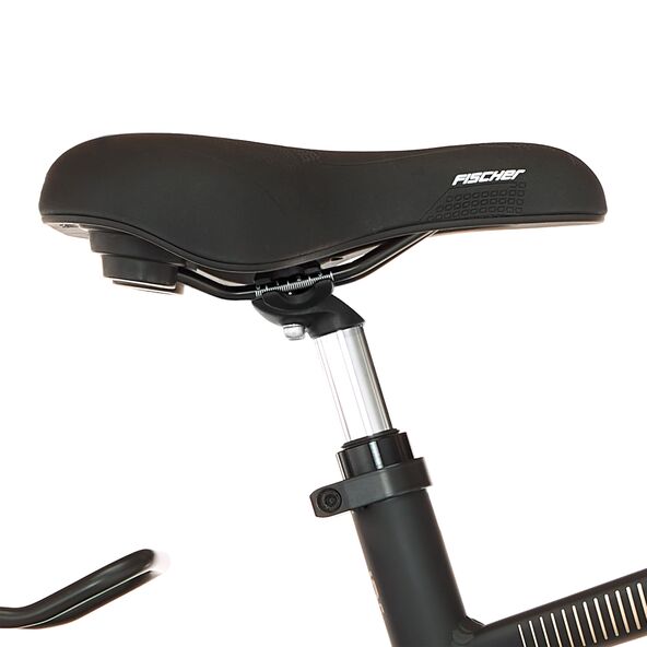 Trekking E-Bike VIATOR 4.2I 522, 55 cm