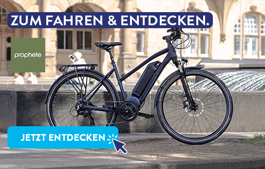 50_50_Header_ALDI_Onlineshop_KW_38_Prophete_544x348px_xs.jpg