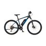 E-Mountainbike MONTIS 2.1 418, 51 cm Rahmenhöhe