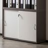 Serie 4000 Aktenschrank 4700, esche grau/weiß matt