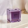 Duftkerze ESSENTIALS lavender touch, 6er Set