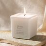 Duftkerze ESSENTIALS pure white, 6er Set