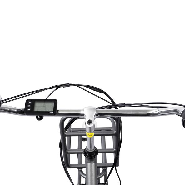 28" City-E-Bike Rosendaal 3 Lady, grau