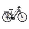 Trekking E-Bike TLR 7030